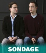 Nouveau Sondage